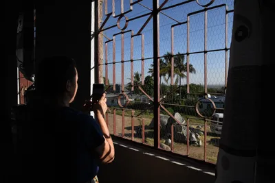 DSC_2677 (Large).JPG